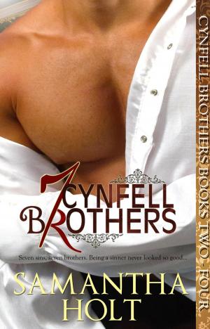 Book cover of Cynfell Brothers Books 2 - 4