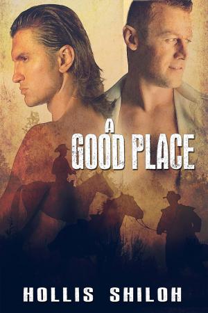 Cover of the book A Good Place by Adelia Chamberlain