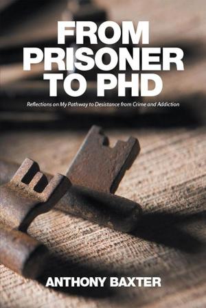 bigCover of the book From Prisoner to Phd by 