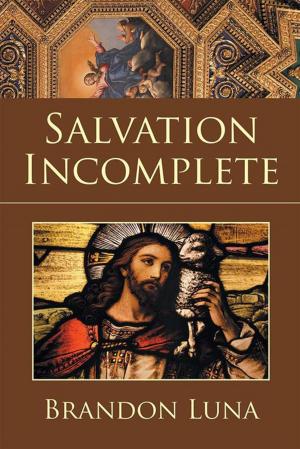 bigCover of the book Salvation Incomplete by 