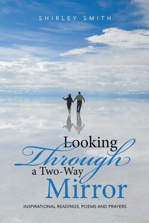 Book cover of Looking Through a Two-Way Mirror