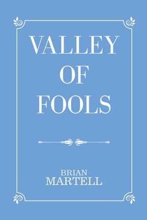 Cover of the book Valley of Fools by Ossice Stevens