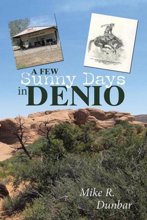 bigCover of the book A Few Sunny Days in Denio by 