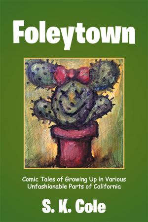 Cover of the book Foleytown by Elias Rinaldo Gamboriko