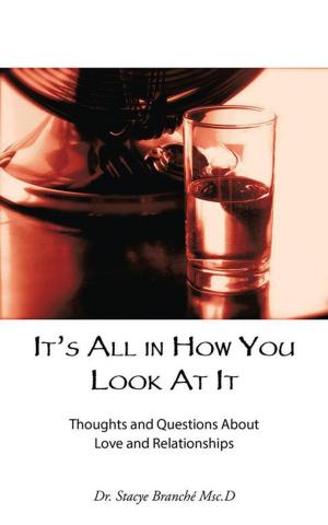 Cover of the book It’S All in How You Look at It by Karee Stardens