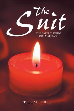 Cover of the book The Suit by Dr. Robert L. Heichberger