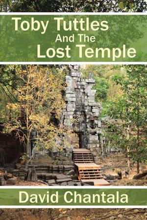 Cover of the book Toby Tuttles and the Lost Temple by Mary lynn Rose, Bonnie Lil Murphy