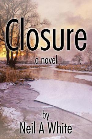Cover of the book Closure by William G. Uthe