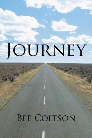 Cover of the book Journey by LL Downing