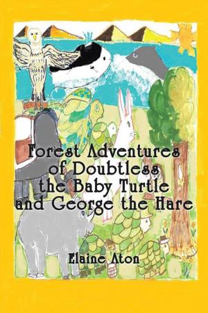 Cover of the book Forest Adventures of Doubtless the Baby Turtle and George the Hare by Eve Flager