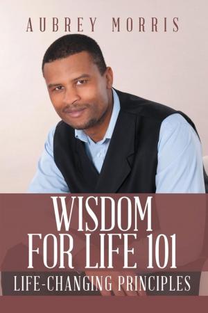 Cover of the book Wisdom for Life 101 by Richard Brewer