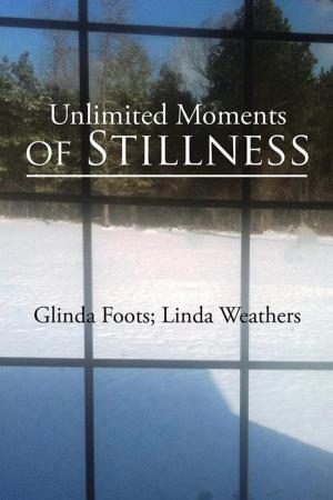Cover of the book Unlimited Moments of Stillness by Richard D. Ollek CBSE