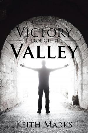 bigCover of the book Victory Through the Valley by 