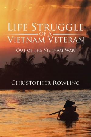 Cover of the book Life Struggle of a Vietnam Veteran by Najah Garlington