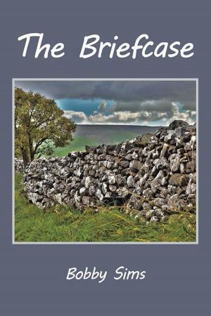 Cover of the book The Briefcase by Lane Bristow