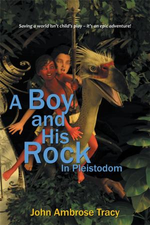Cover of the book A Boy and His Rock by Maurice Washington