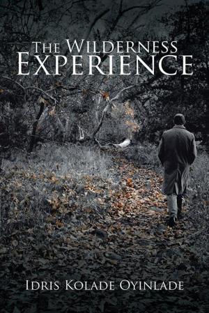 Cover of the book The Wilderness Experience by Valerie Sheppard