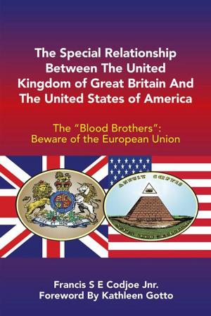 Cover of the book The Special Relationship Between the United Kingdom of Great Britain and the United States of America by Armin Boko