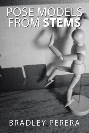 Cover of the book Pose Models from Stems by Emma St. George Ekeh