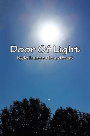 Cover of the book Door of Light by Kendal Prill