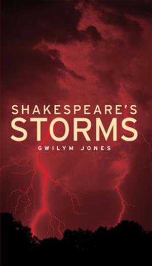 Cover of the book Shakespeare's storms by David M. Turner, Daniel Blackie