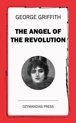 Cover of the book The Angel of the Revolution by Charlotte Yonge