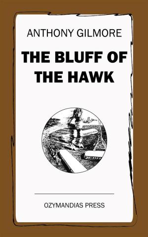 Cover of the book The Bluff of the Hawk by C. A. Fyffe