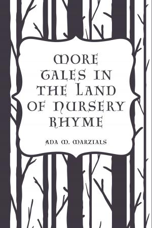 Cover of the book More Tales in the Land of Nursery Rhyme by William MacLeod Raine