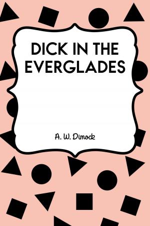 Cover of the book Dick in the Everglades by Arthur Hornblow