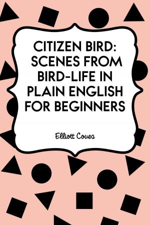 Cover of the book Citizen Bird: Scenes from Bird-Life in Plain English for Beginners by Anthony Hope