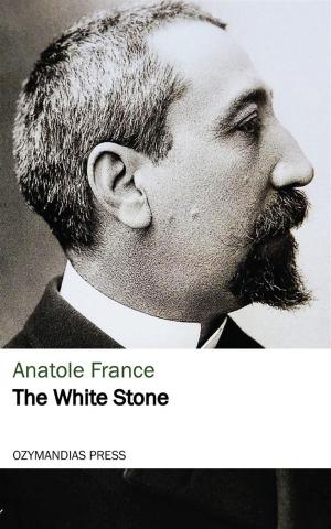 Cover of the book The White Stone by Stanley Weinbaum