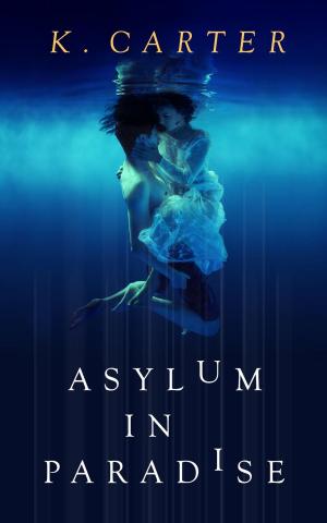 Cover of the book Asylum in Paradise by Kelli Rea Klampe