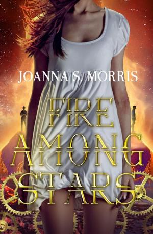 Cover of the book Fire Among Stars by Monika Pelz