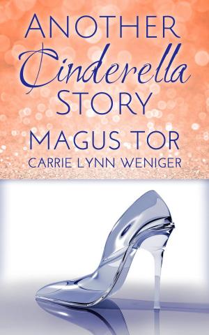 Cover of the book Another Cinderella Story by Simon Dunn