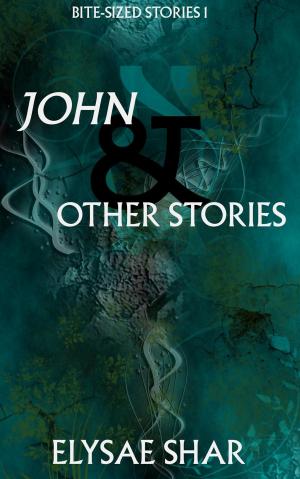 Cover of the book John & Other Stories by Susan Leigh Noble