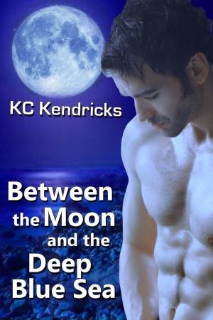 Cover of the book Between the Moon and the Deep Blue Sea by Devney Perry