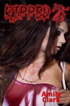 Cover of the book Ripped 2 by Amanda M. Holt