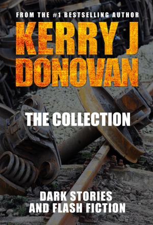 Cover of the book The Collection by Shan Fazelbhoy
