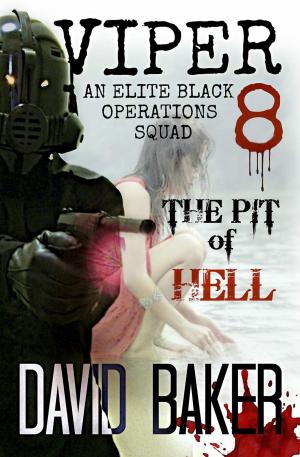 Book cover of VIPER 8 - THE PIT OF HELL: An Elite 'Black Operations' Squad