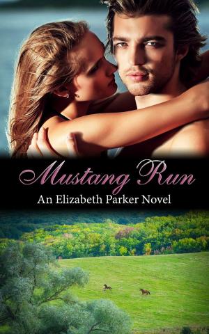 Book cover of Mustang Run