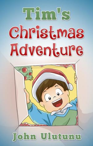 Cover of the book Tim's Christmas Adventure by James B. Riverton