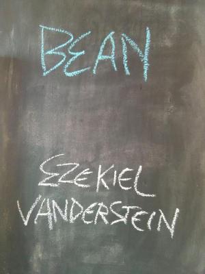 Book cover of Bean