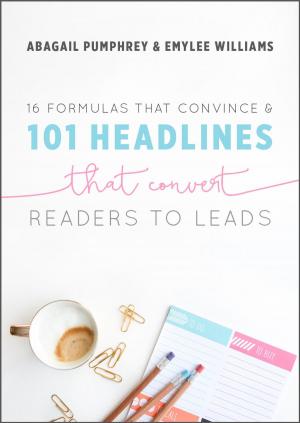 Book cover of 16 Formulas that Convince & 101 Headlines that Convert Readers to Leads