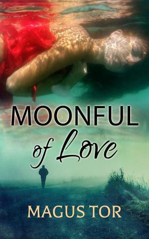 Cover of the book Moonful of Love by PAUL Adams