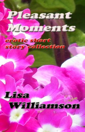 Book cover of Pleasant Moments