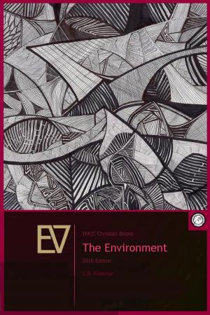 Cover of the book EV - The Environment by Kristina Kaine