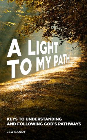 Cover of the book A Light to My Path by Bill Johnson