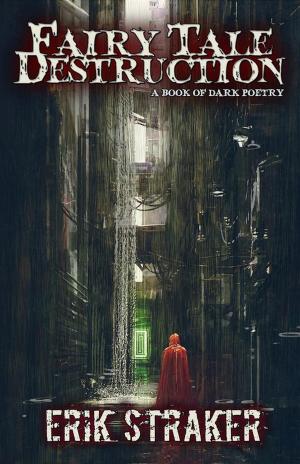 Cover of the book Fairy Tale Destruction: A Book of Dark Poetry by Lynne Namka
