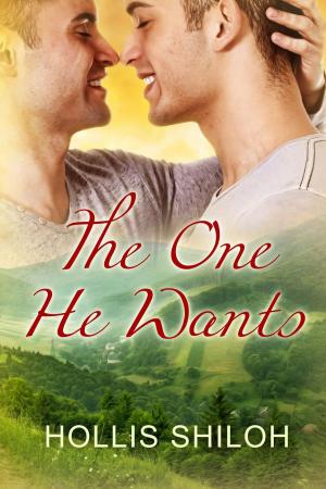 Cover of the book The One He Wants by L.E. Wilson