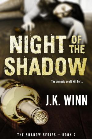 Cover of the book Night of the Shadow by Jamie Melissa Renwick